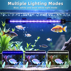Novique LED submersible aquarium light blue-white mix mode provides soft, natural illumination.