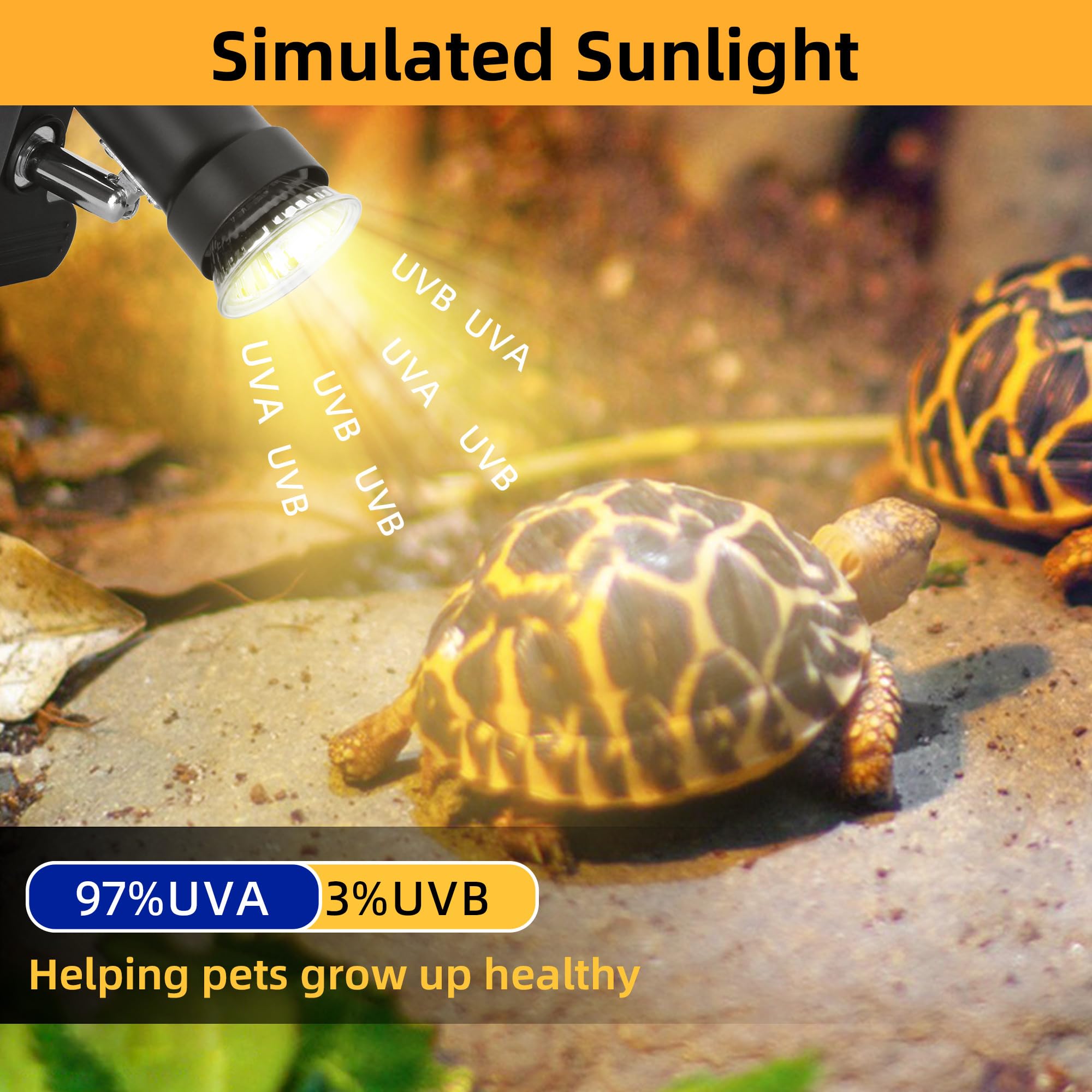 Novique 50W UVA UVB bulb providing natural daylight warmth in a terrarium