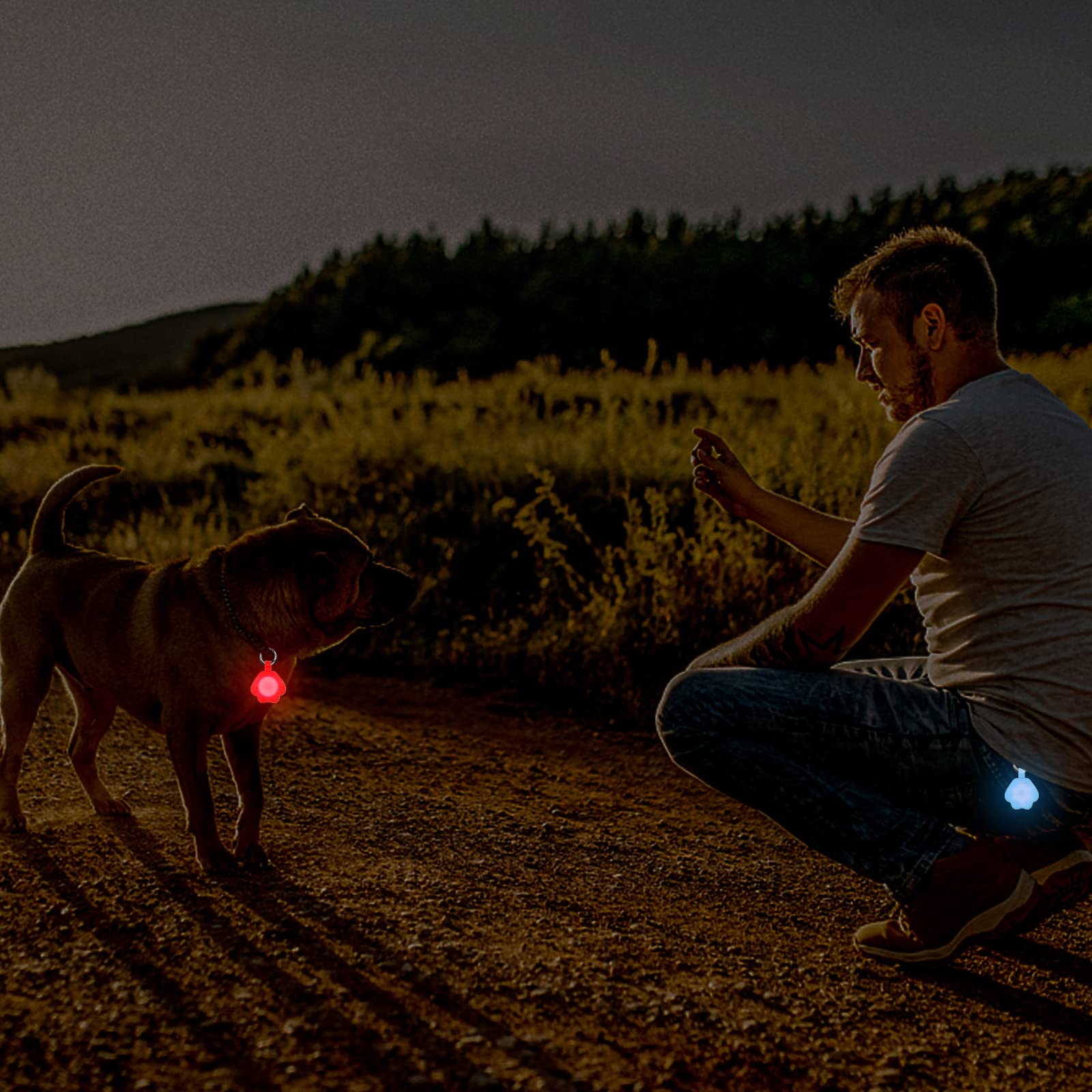 Novkin dog light collar attachment shown on leash for easy night walking.