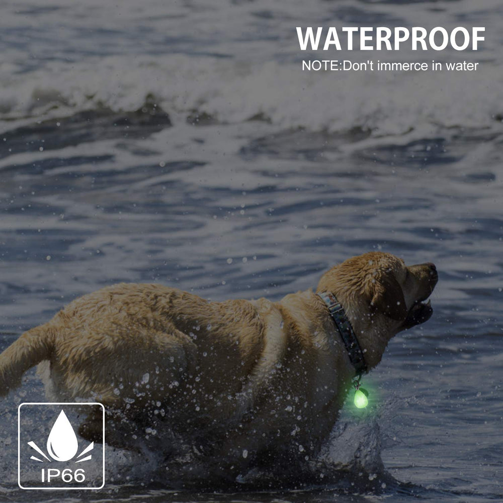 Novkin dog light USB recharge time about 30 minutes