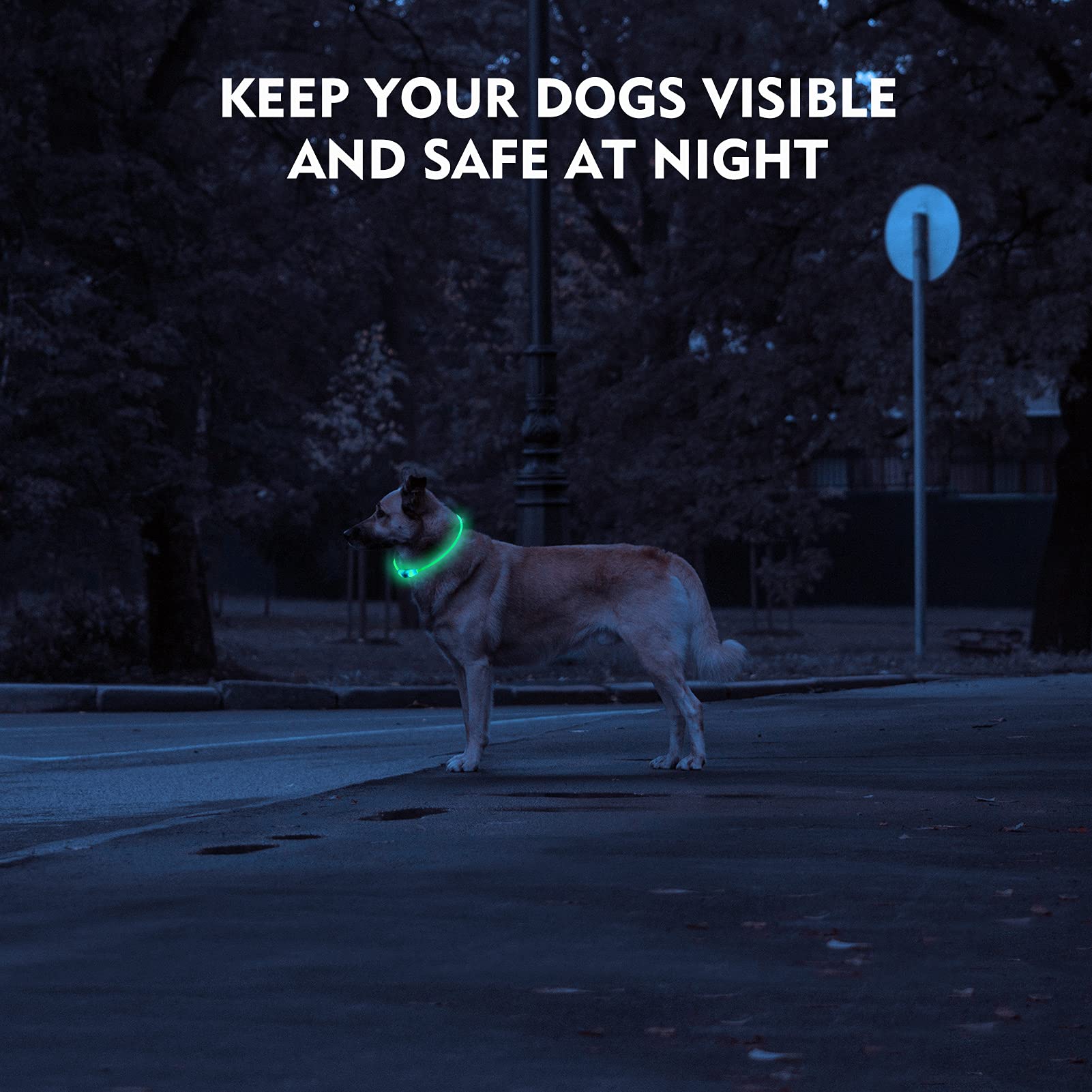 Novkin LED dog collar battery-recharge illustrates fast USB charging and long run time.