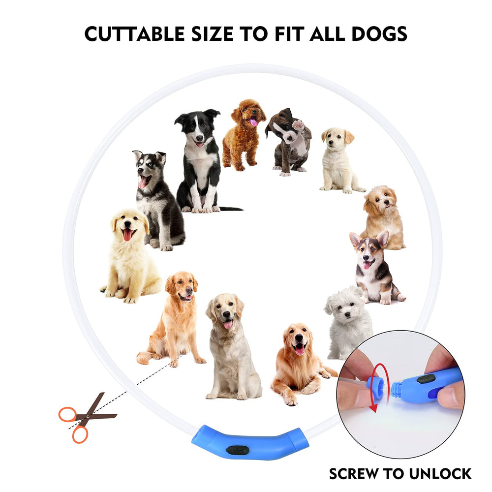 Novkin LED dog collar blue IP67 waterproof for rainy adventures.