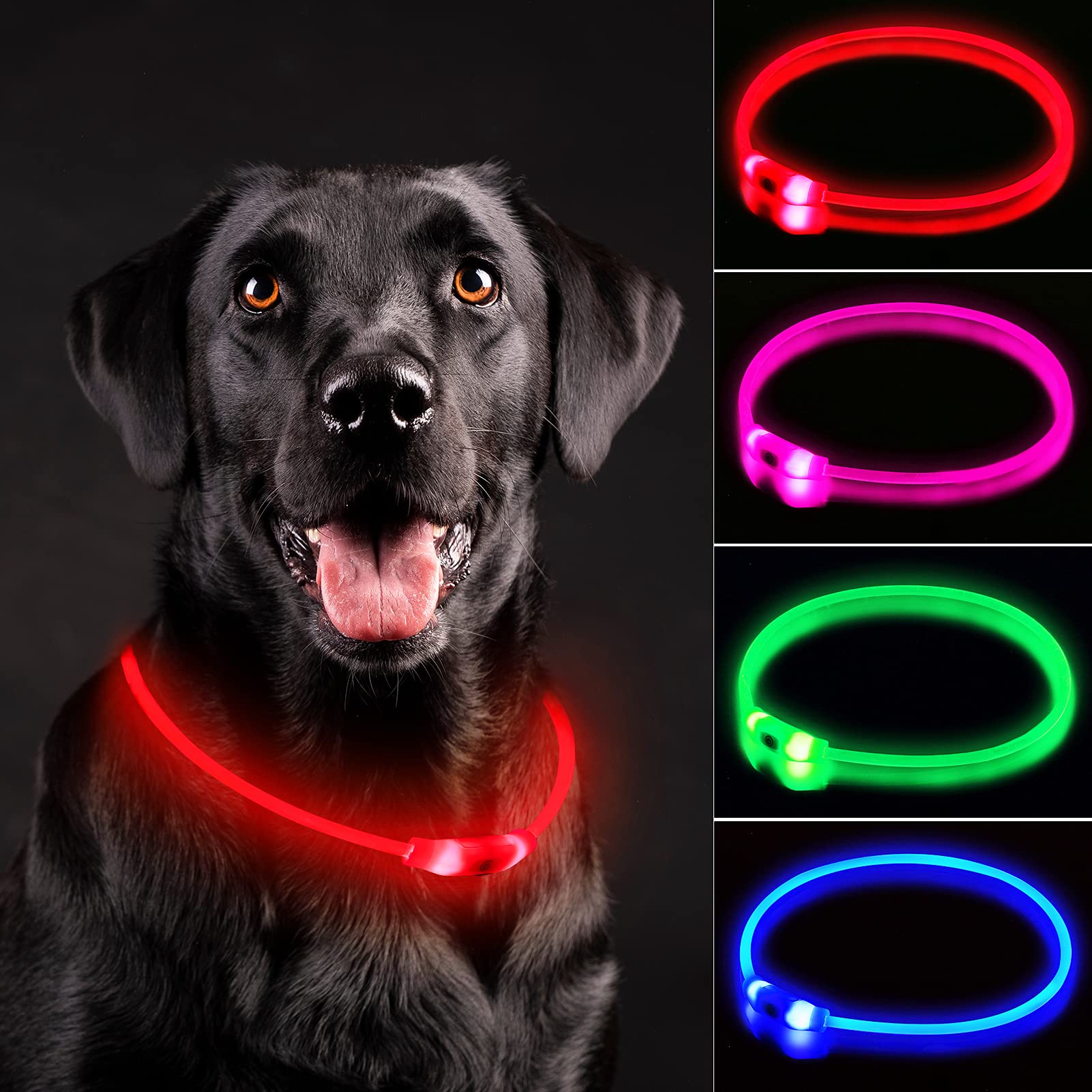 Novkin LED dog collar worn on a red dog improves night visibility for safer walks.