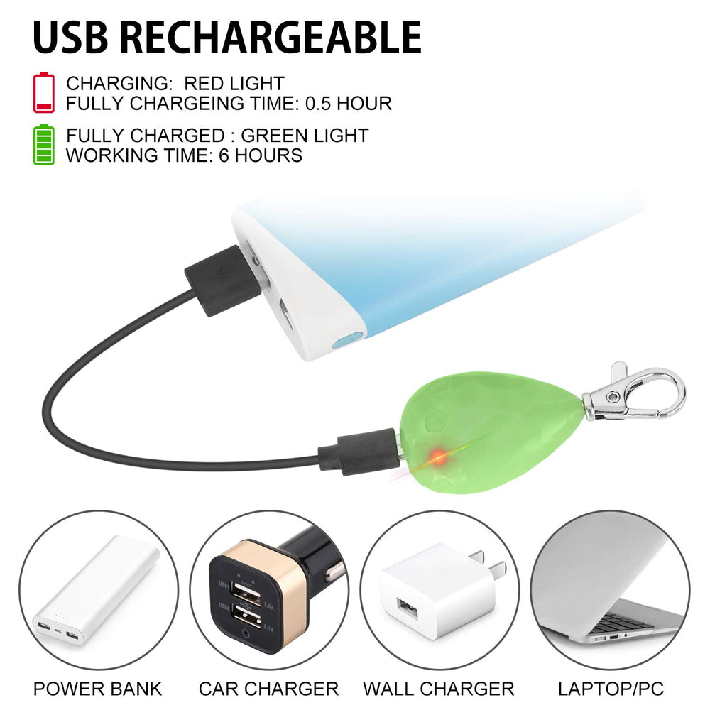 Novkin LED light in multiple color options helps identify dogs on group walks.