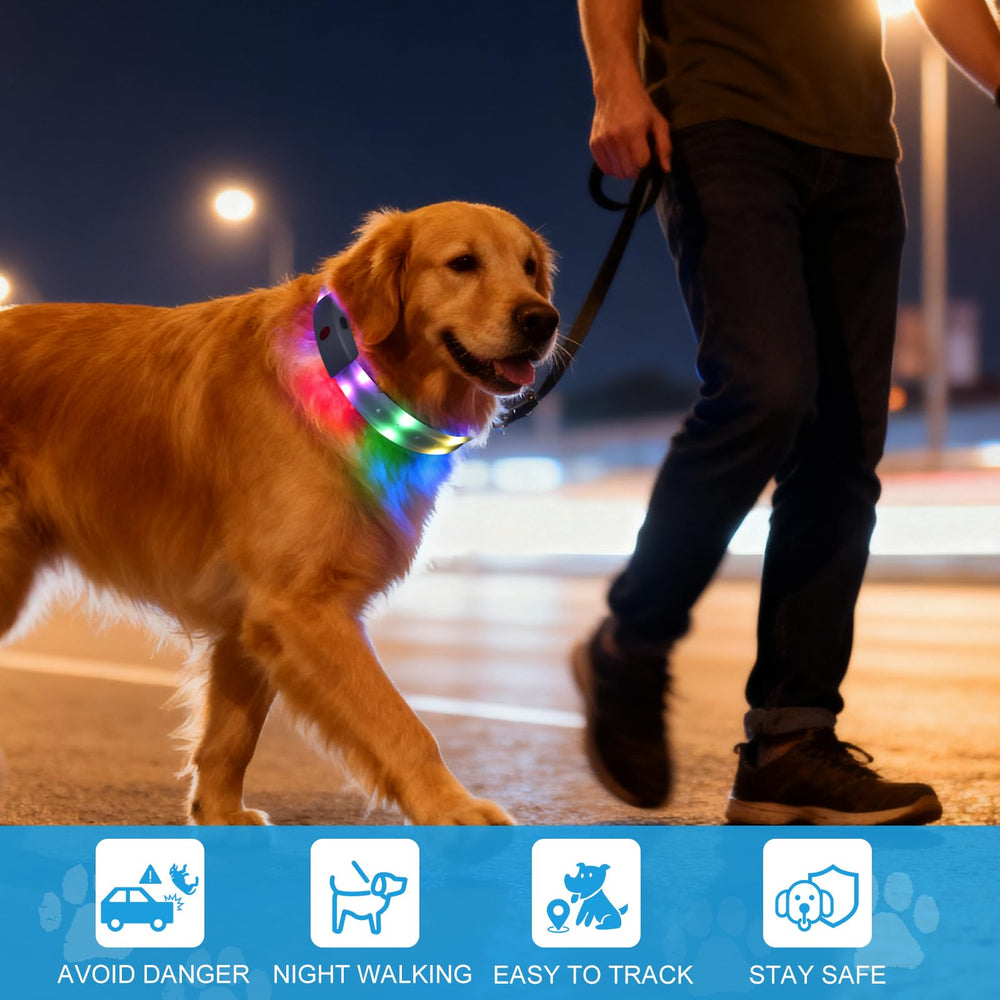 Novkin LED collar showing 360-degree illumination for easy pet spotting during camping.