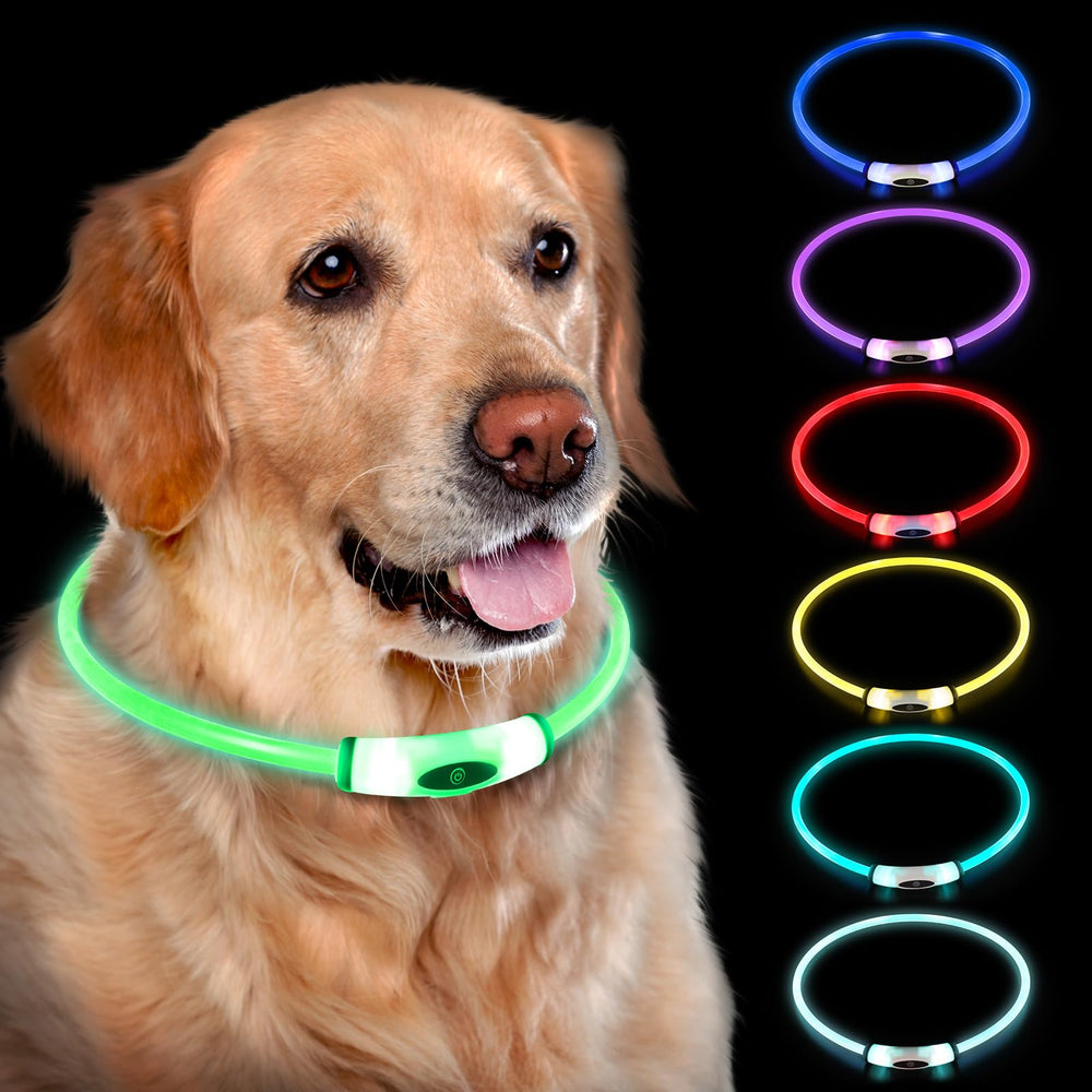 Novkin lighted dog collar blue glow on dog for safer night walks