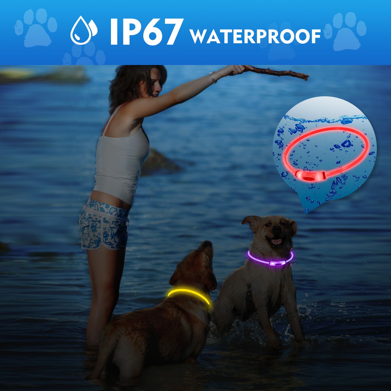 Novkin lighted dog collar green glow on dog for outdoor adventures