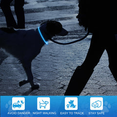 Novkin lighted dog collar white glow on dog for nighttime safety