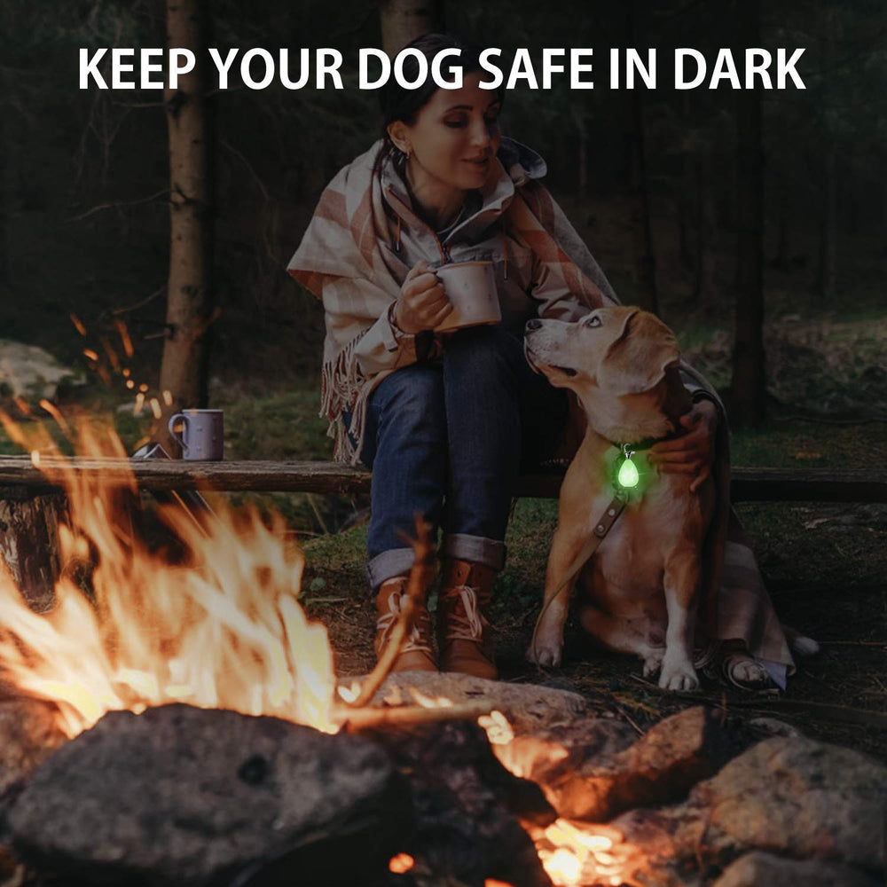 Novkin rechargeable dog light with clip-on attachment improving quick setup for evening runs.