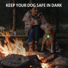 Novkin rechargeable dog light with clip-on attachment improving quick setup for evening runs.