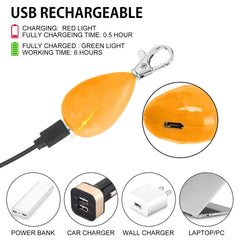 Novkin rechargeable dog light plugged in via micro USB for quick charging.