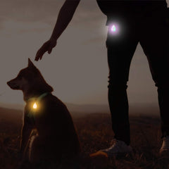 Novkin two-pack LED dog light clipped to leash for easy nighttime safety.