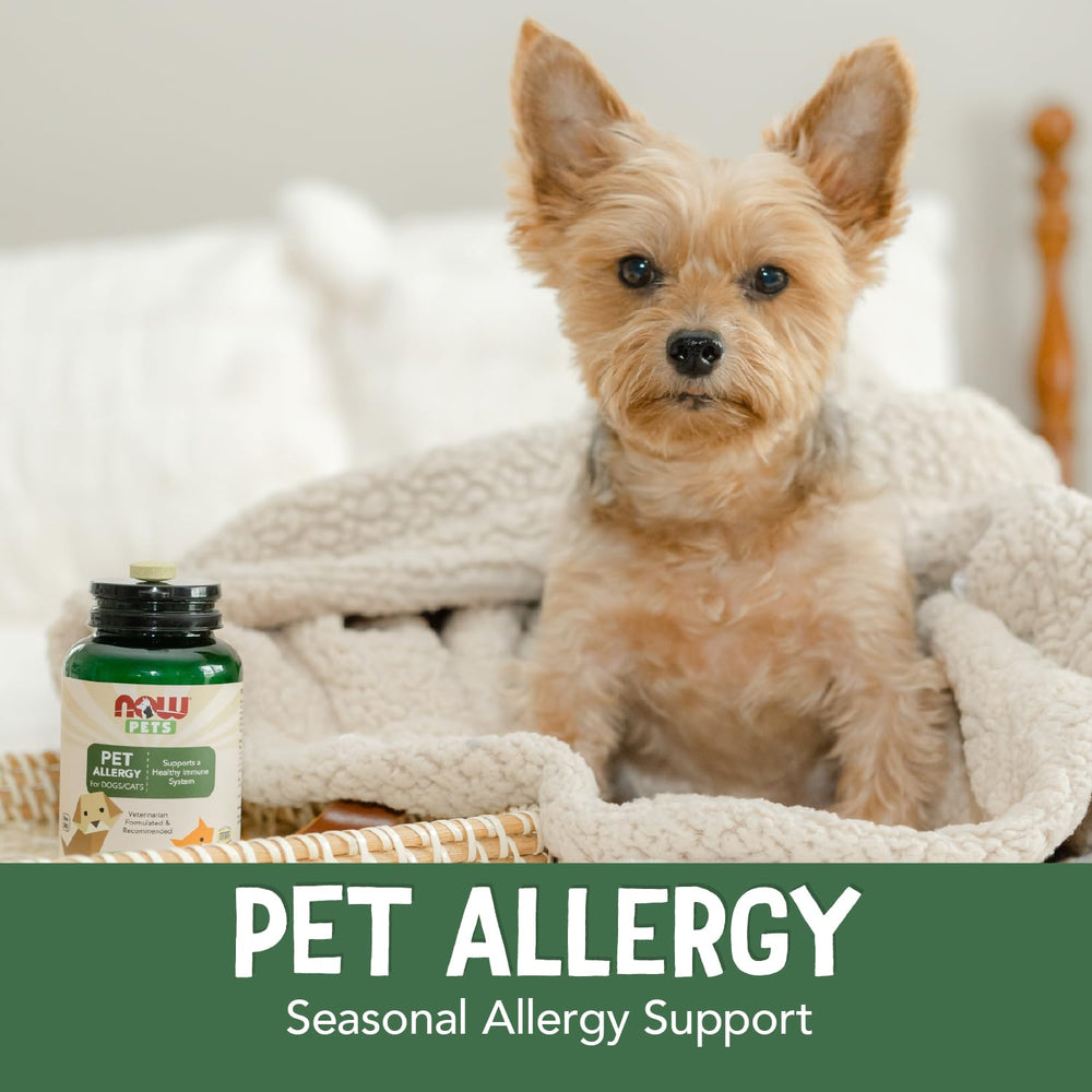 NOW Pet Health quercetin visual emphasizes natural antioxidant support for seasonal needs