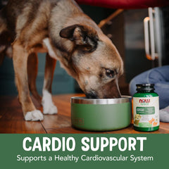 NOW Pets cardiovascular-support ingredient-list highlighting taurine and antioxidants