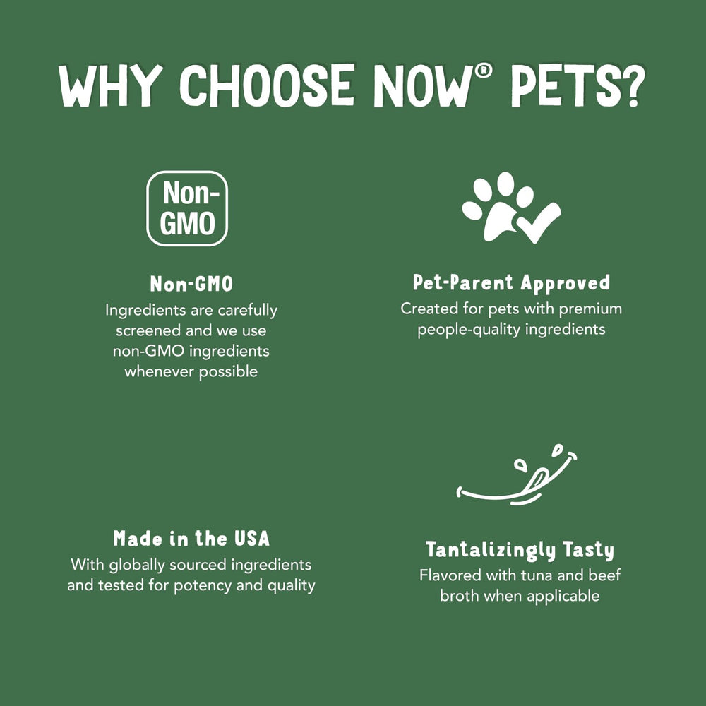 Dog image with NOW Pets omega-3 softgels for daily joint support.