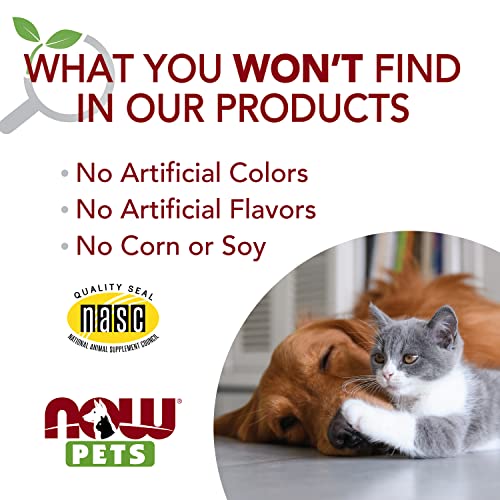 Final product shot of NOW Pets omega-3 bottle suitable for seasonal wellness routines.
