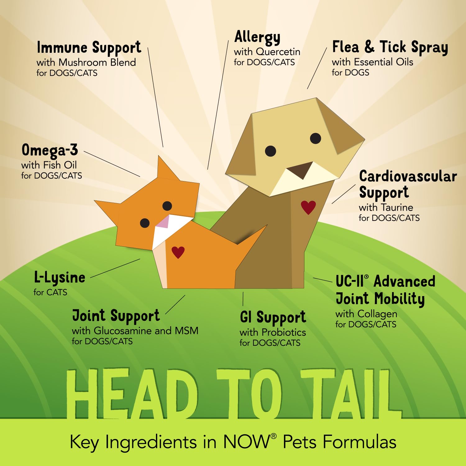 NOW Pets pet-parent approved manufacturing process line shows quality control