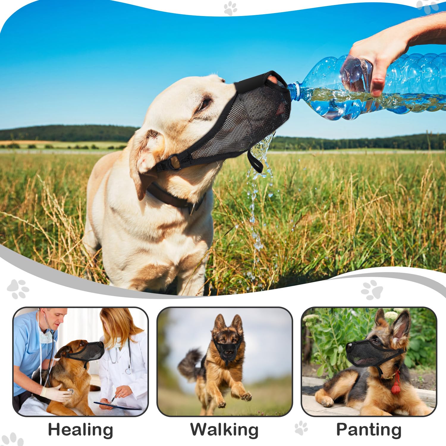 NOWAWEVE dog muzzle features easy buckle for quick on/off.