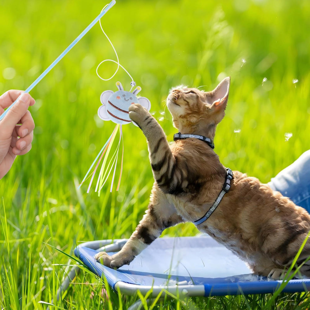 NOWFRESH adjustable-length wand demonstrates flexible play options for cats of all sizes