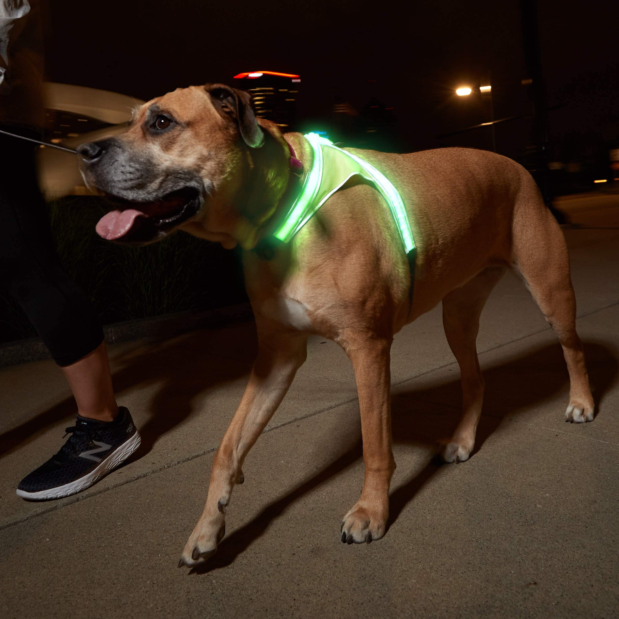 Noxgear LightHound adjustable neck and chest ensure a comfortable, secure fit.