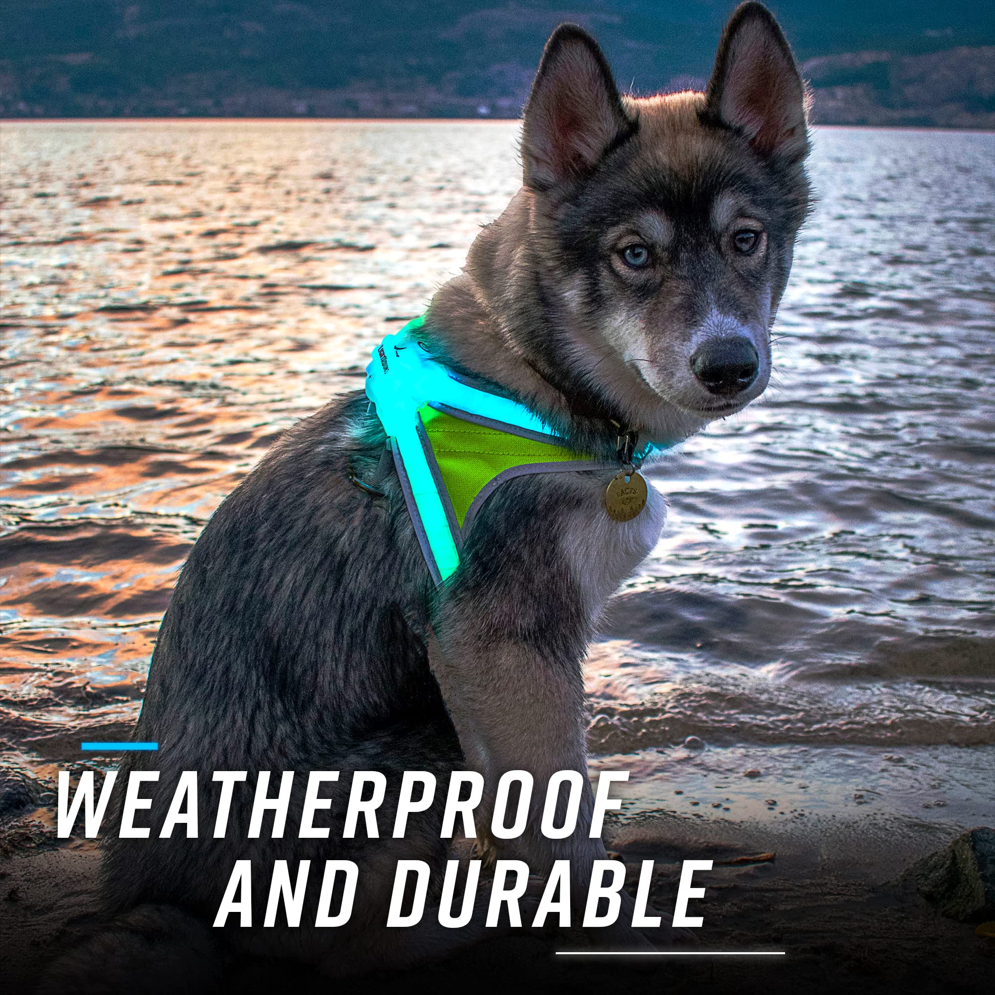 Noxgear LightHound durable Cordura fabric withstands rain and rough play