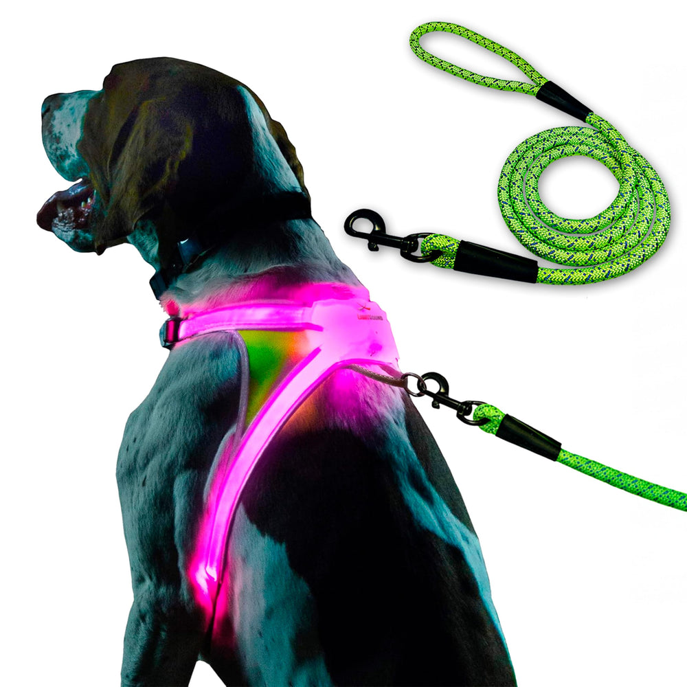 Noxgear LightHound large dog harness with LED illumination for safer evening walks.
