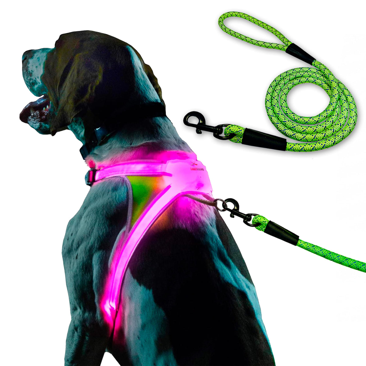 Noxgear LightHound large dog harness with LED illumination for safer evening walks.