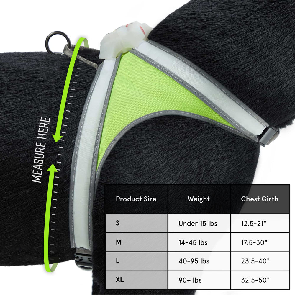 Noxgear LightHound medium back view highlights reflective trim for nighttime safety