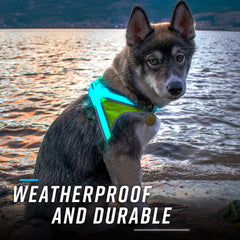 Noxgear LightHound medium color modes display—8 solid colors for versatile signaling