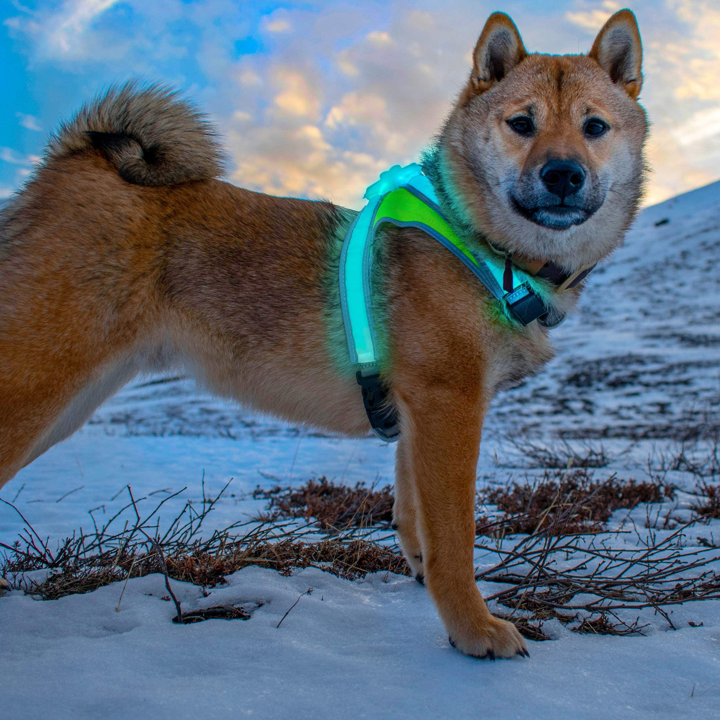 Noxgear LightHound medium Cordura fabric close-up demonstrates rugged durability