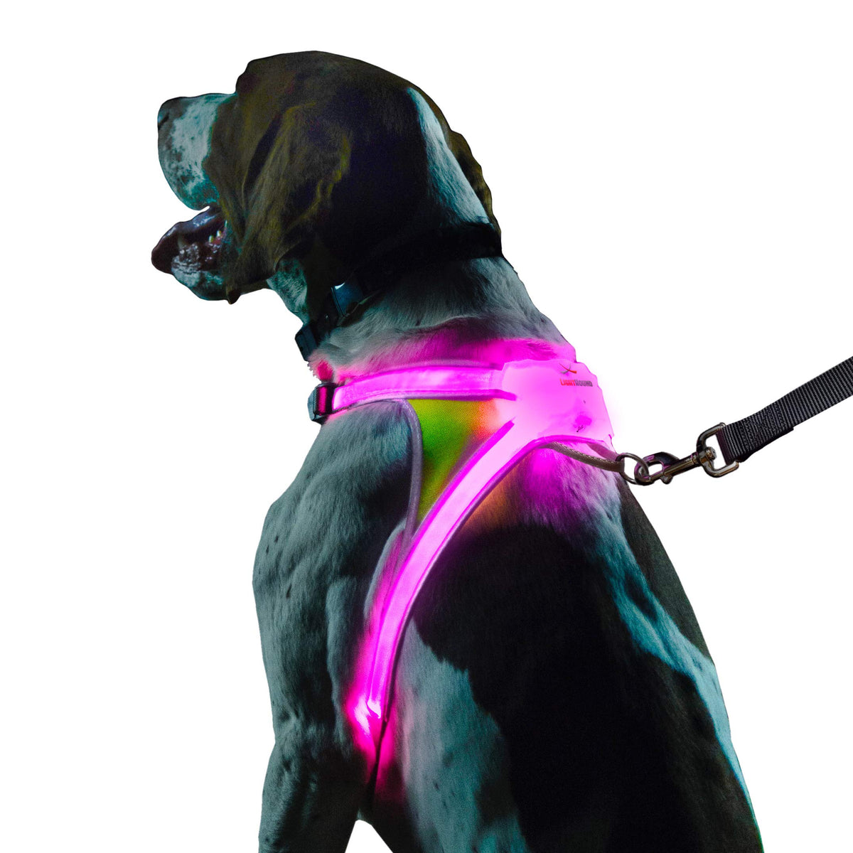 Noxgear LightHound medium front view shows bright colors for daytime visibility