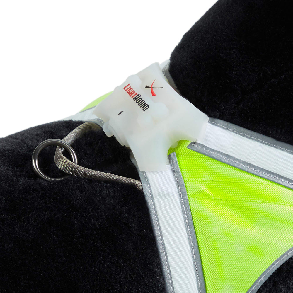 Noxgear LightHound medium leash-attachment close-up shows quick clip integration