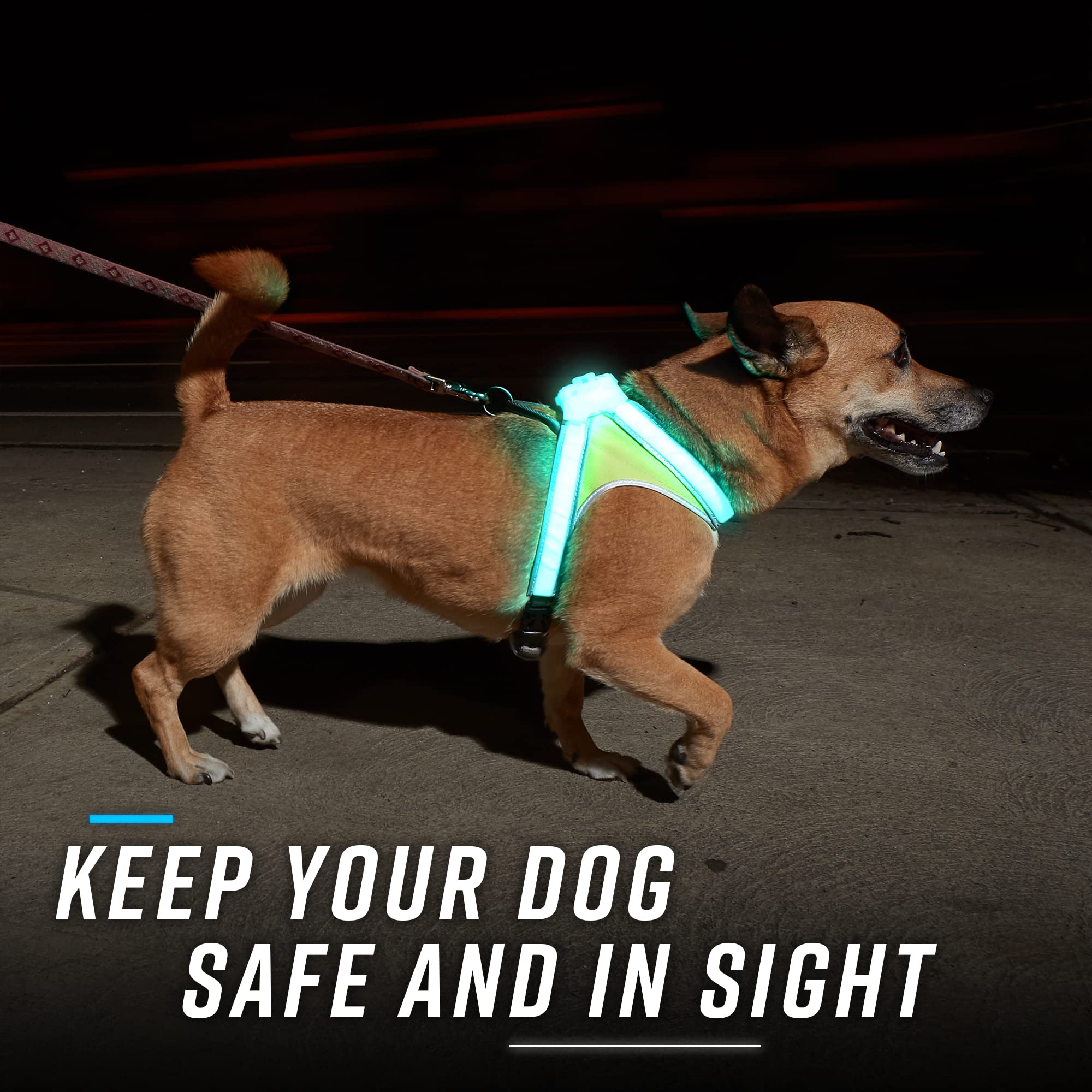 Noxgear LightHound medium side view demonstrates adjustable straps for a secure fit