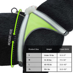 Noxgear LightHound demonstrates multicolor modes for eye-catching, safer evening walks.
