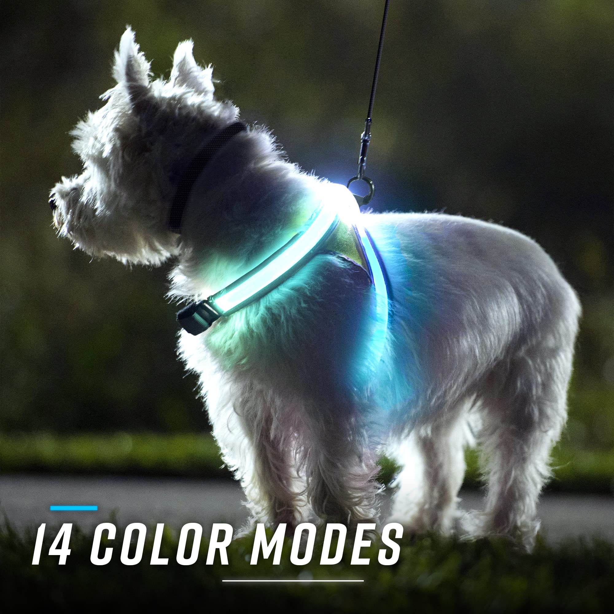 Noxgear LightHound quick-clip harness design speeds up on-the-go setup.