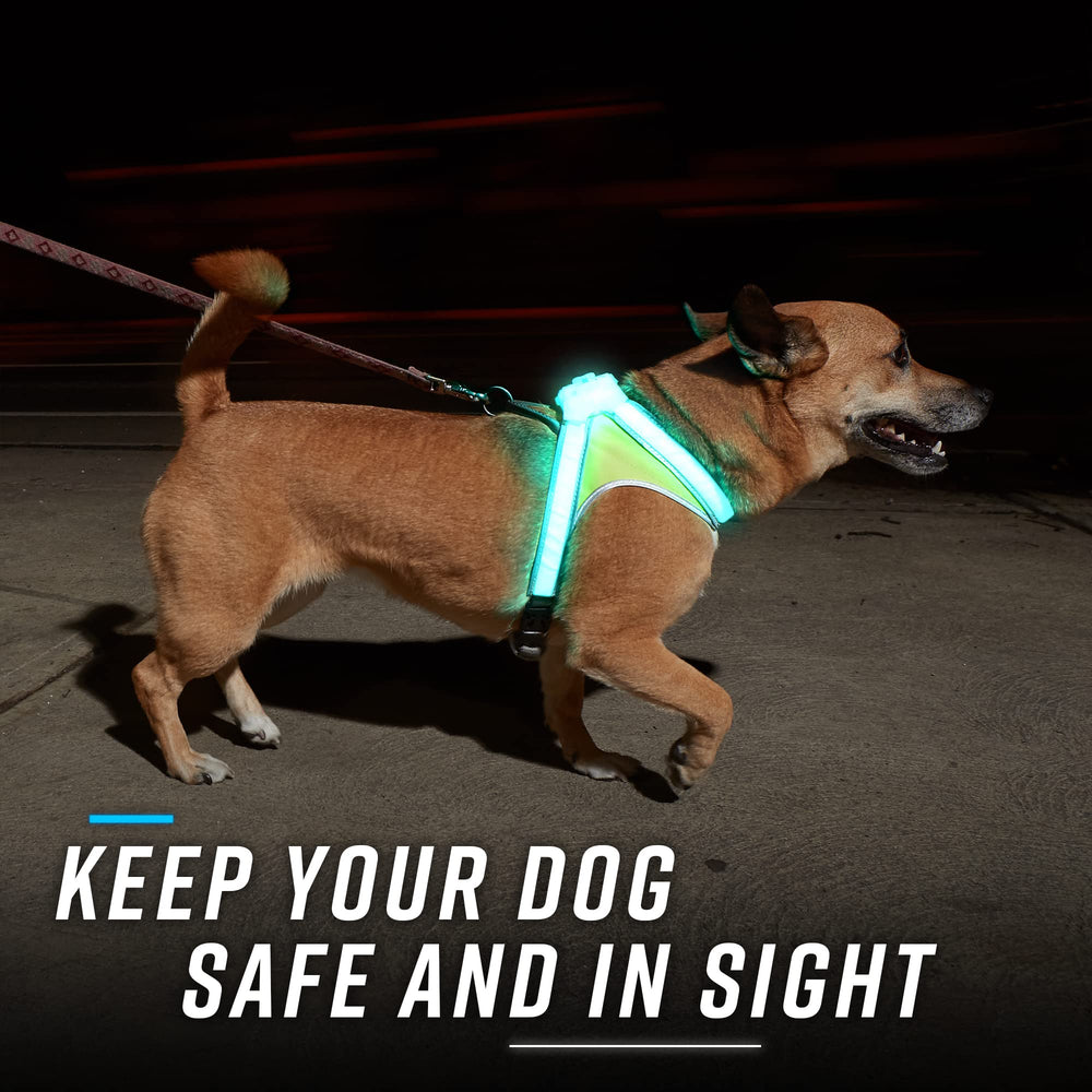 Noxgear LightHound rainproof vest stays visible in wet weather.