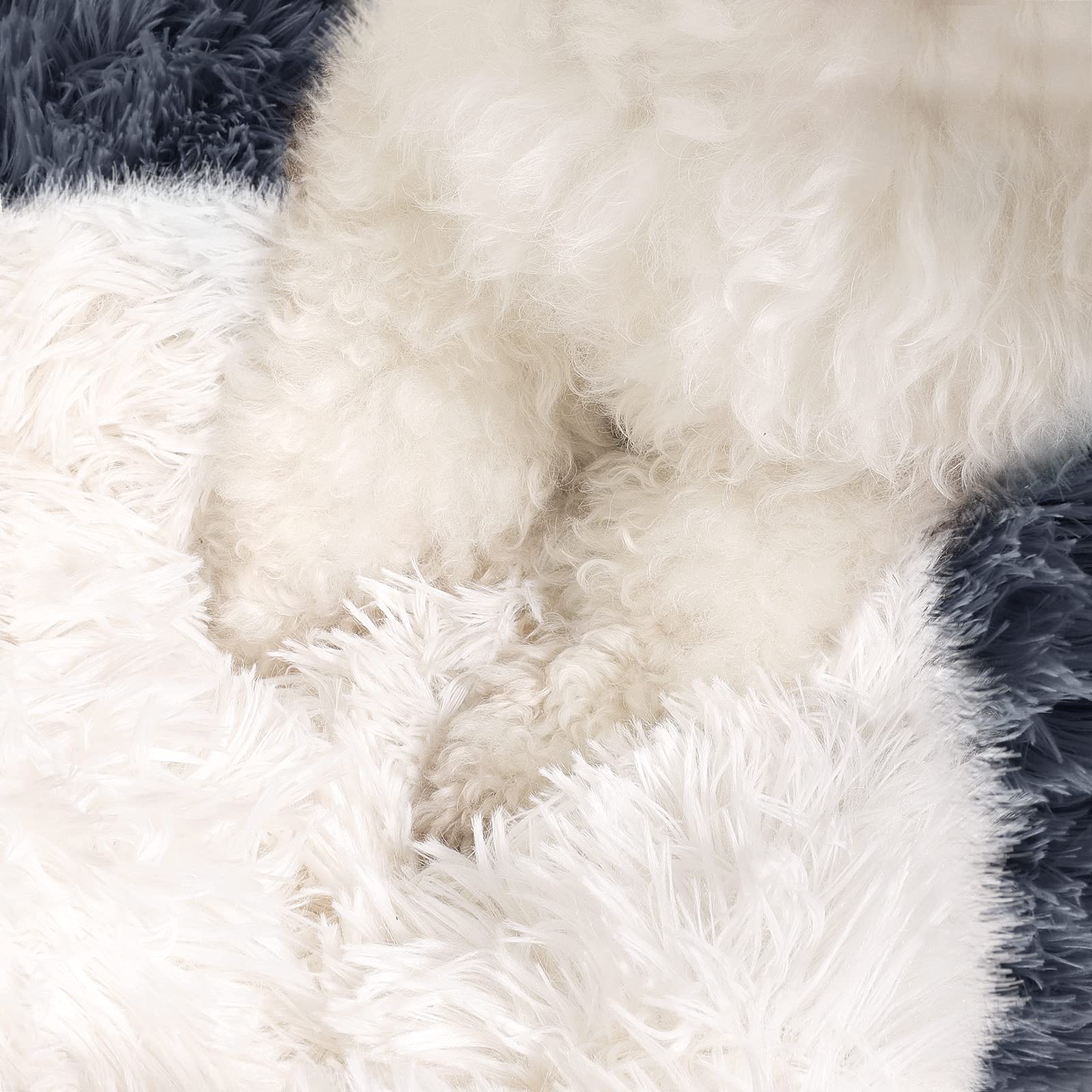 NOYAL five-size range helps fit small to medium pets.