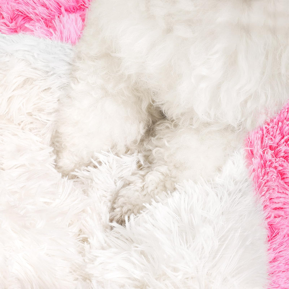 NOYAL five-size options pet bed helps you fit a range from small to medium dogs.
