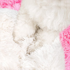 NOYAL five-size options pet bed helps you fit a range from small to medium dogs.