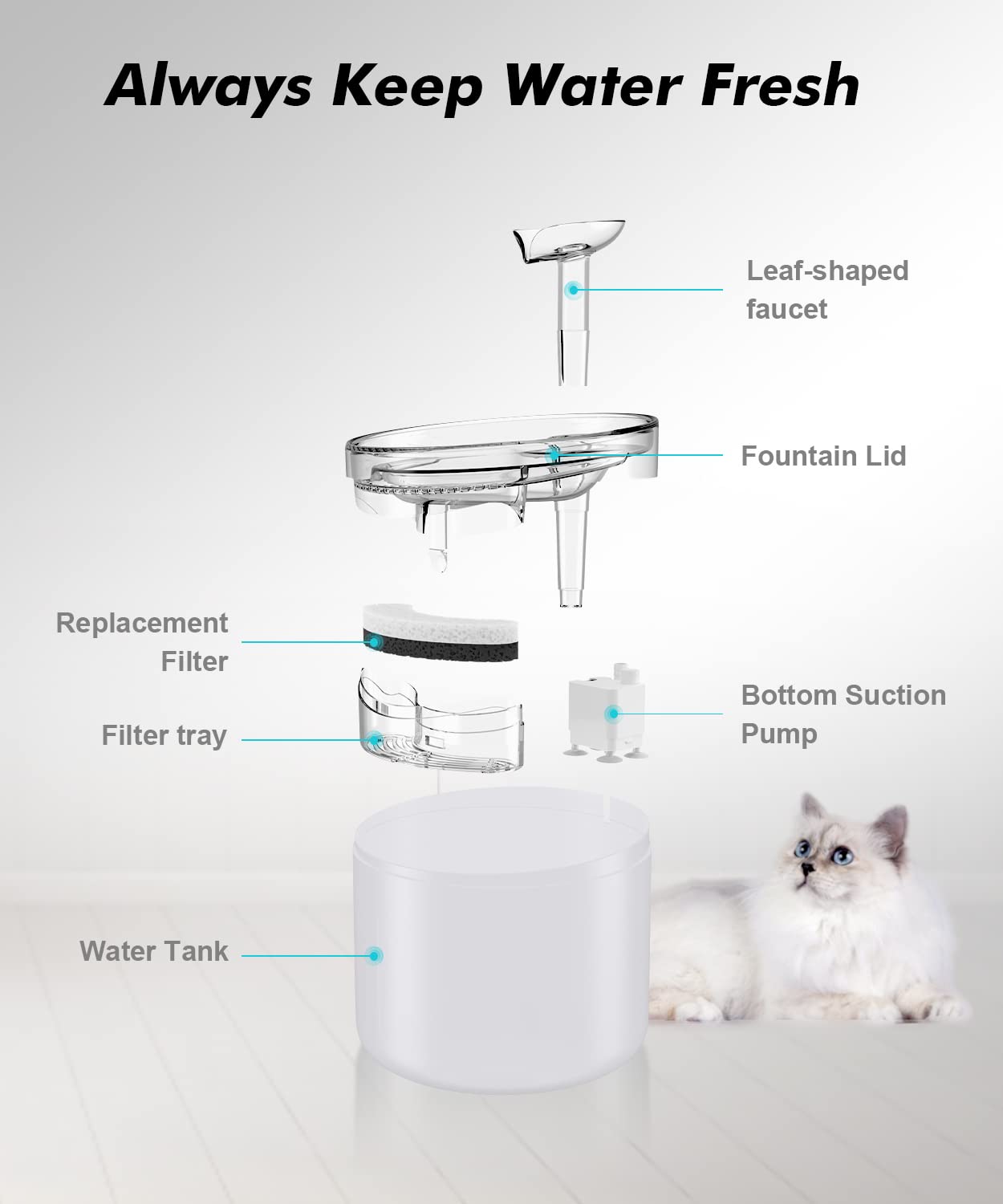 NPET WF100 54oz/1.6L capacity shown in product image