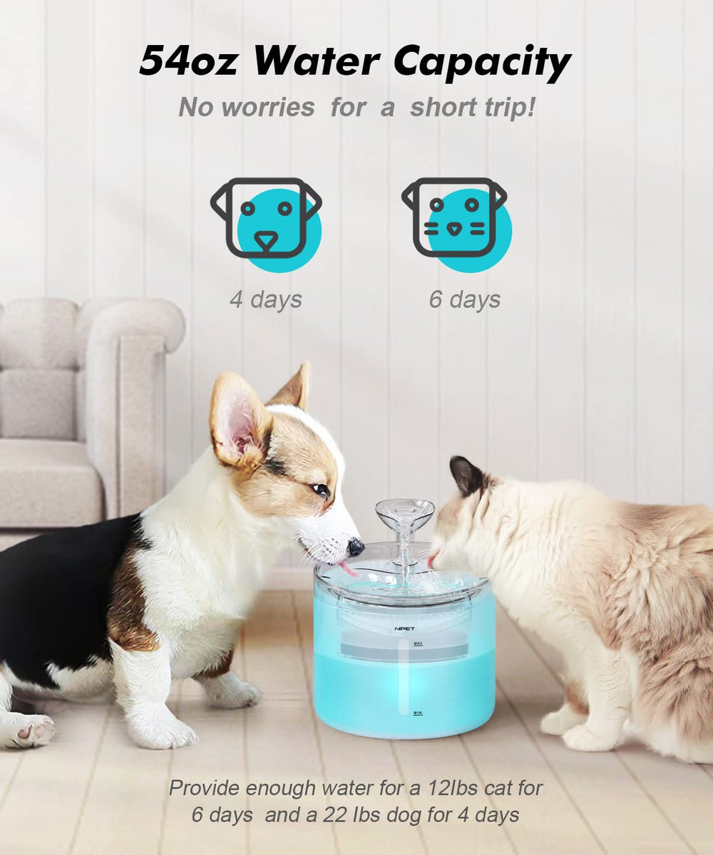 NPET WF100 two flow modes: leaf-shaped and gentle fountain