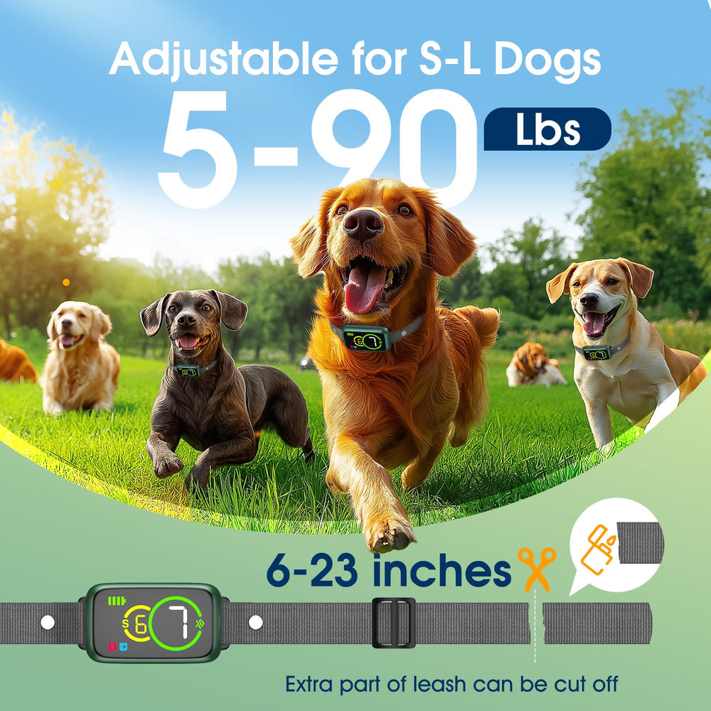 NQQHNN barking collar used during daily outdoor walks for calmer sessions.