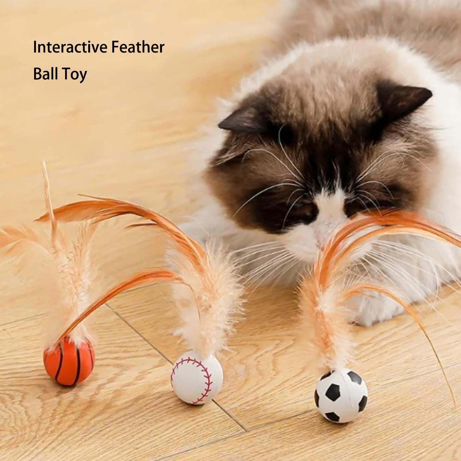 NRAEC feather-ball toy with baseball design adds varied play and mental stimulation during sessions.
