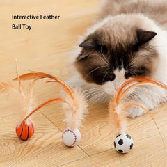 NRAEC feather-ball toy with baseball design adds varied play and mental stimulation during sessions.