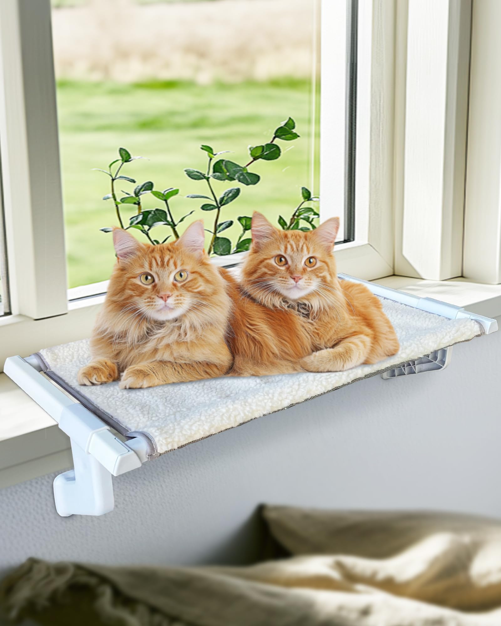 NRYDEPET Cat window bed multi-cat use shows shared sunspot for multiple cats.
