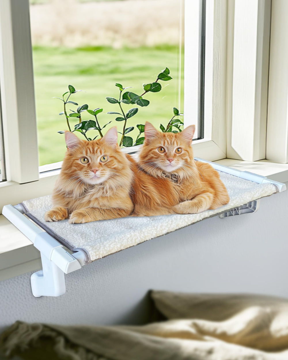 NRYDEPET Cat window bed multi-cat use shows shared sunspot for multiple cats.