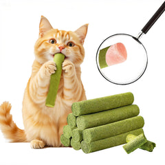 NSWXZDS cat grass teething stick closeup emphasizes dental care texture and natural ingredients