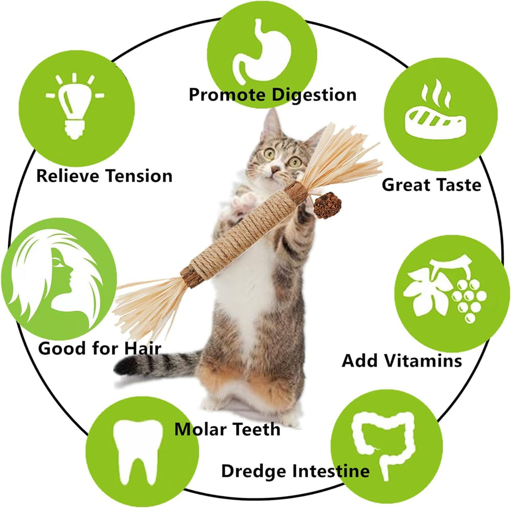 NSWXZDS catnip toys kit highlighting natural entertainment options for cats.