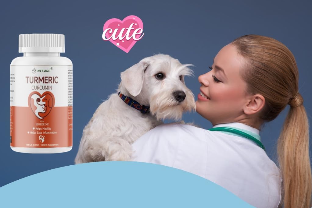 NTCARE turmeric joint-support dog mobility during play and daily activities