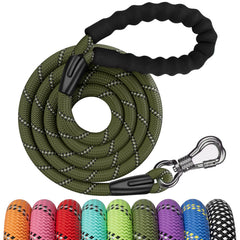 NTR 8ft olive rope leash shown during daily walk for all sizes.